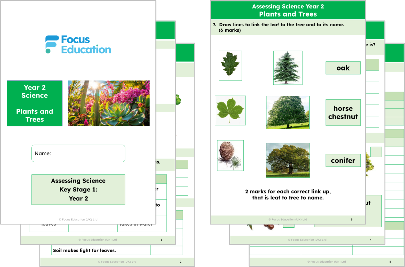 Science Y2: What do plants and trees need to grow healthily?