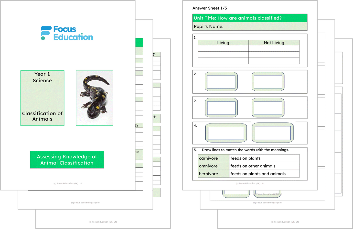 Science Y1: How are Animals Classified?