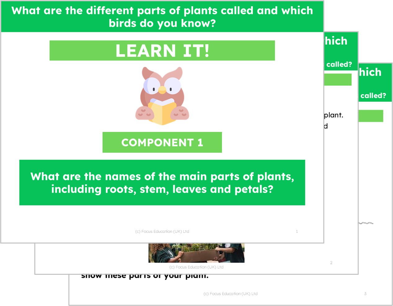 Science Y1: What are different parts of plants called and which birds do you know?