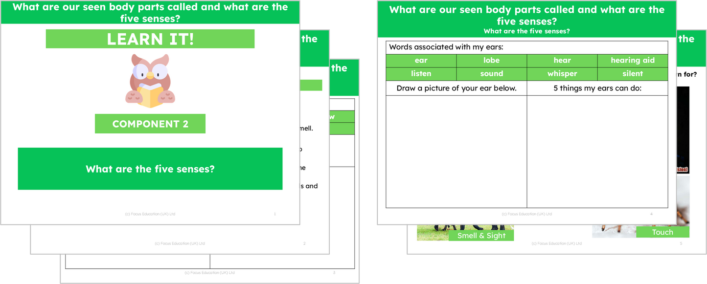 Science Y1: What are our seen body parts called and what are the five senses?