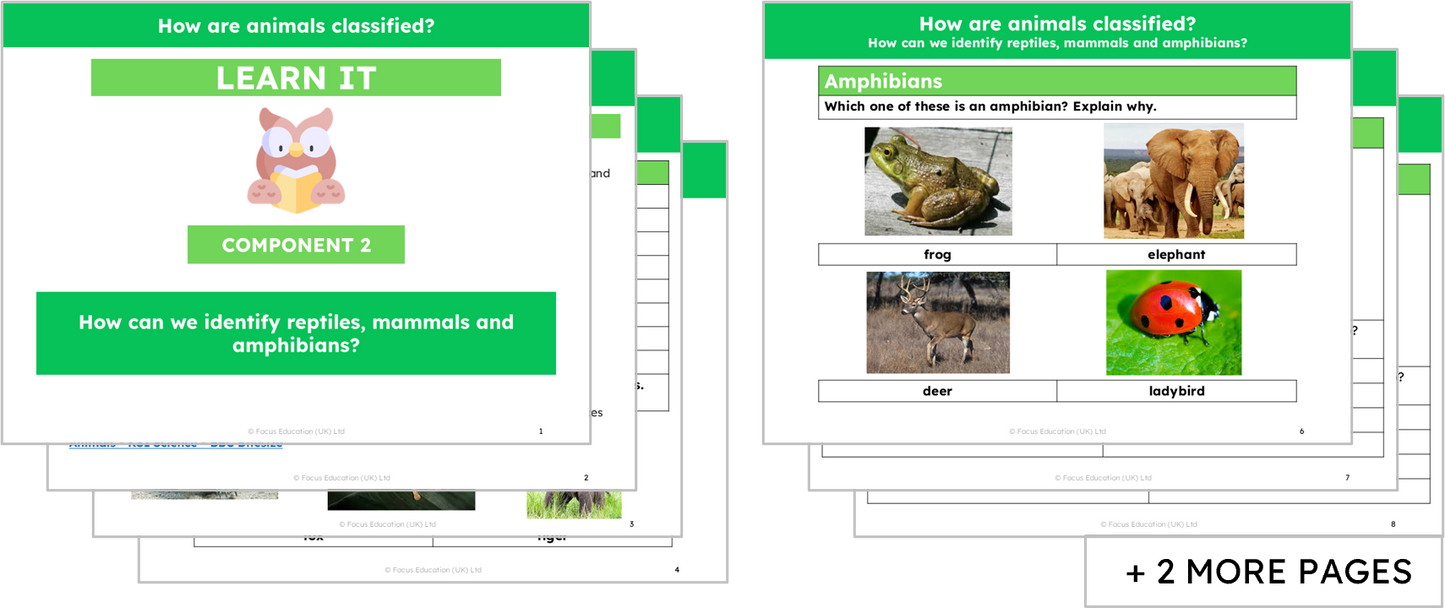 Science Y1: How are Animals Classified?