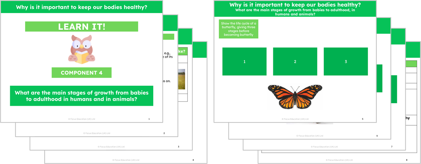 Science Y2: Why is it important to keep our bodies healthy?