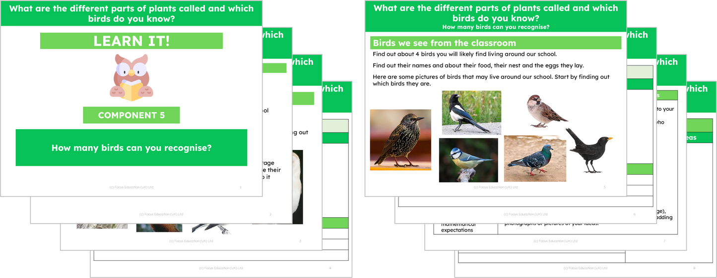 Science Y1: What are different parts of plants called and which birds do you know?