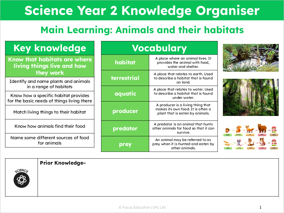 Science Y2: What are habitats and how do they work?