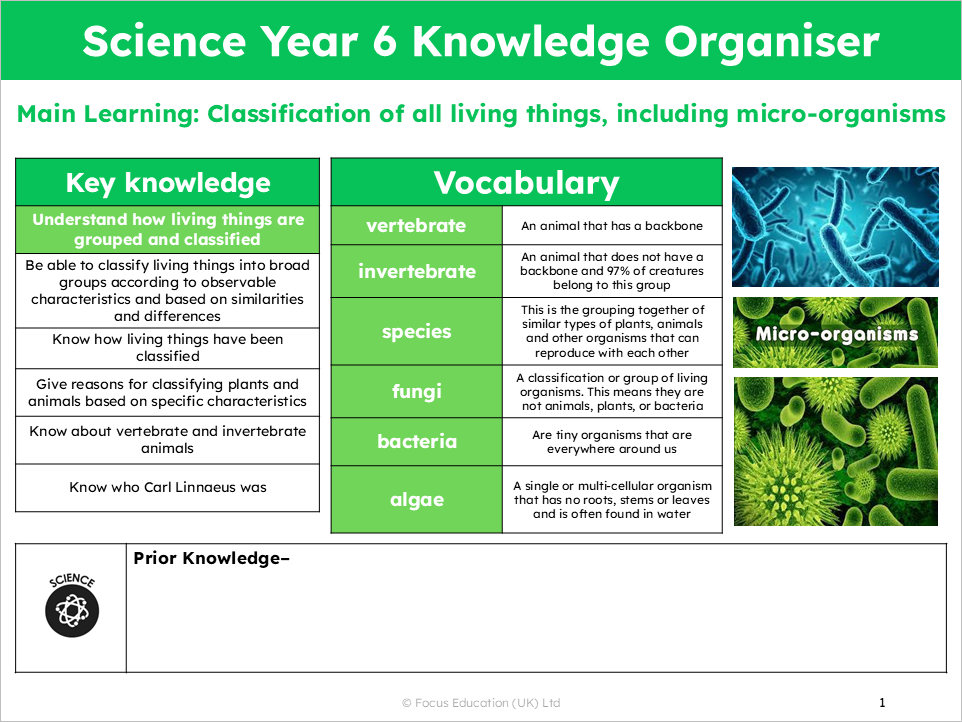 Science Y6: How are living things grouped and classified?