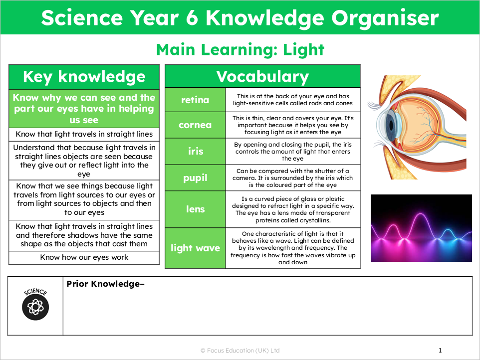 Science Y6: How do our eyes help us see?
