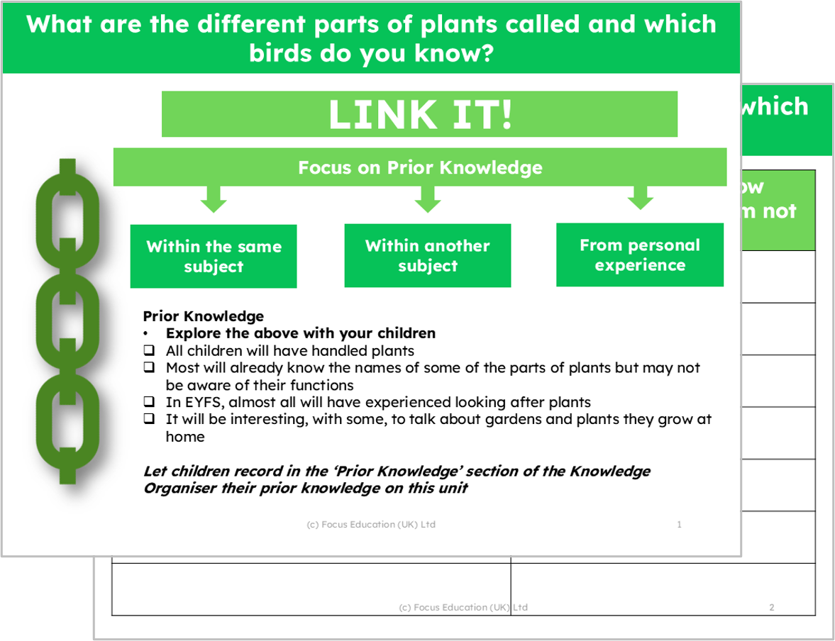 Science Y1: What are different parts of plants called and which birds do you know?