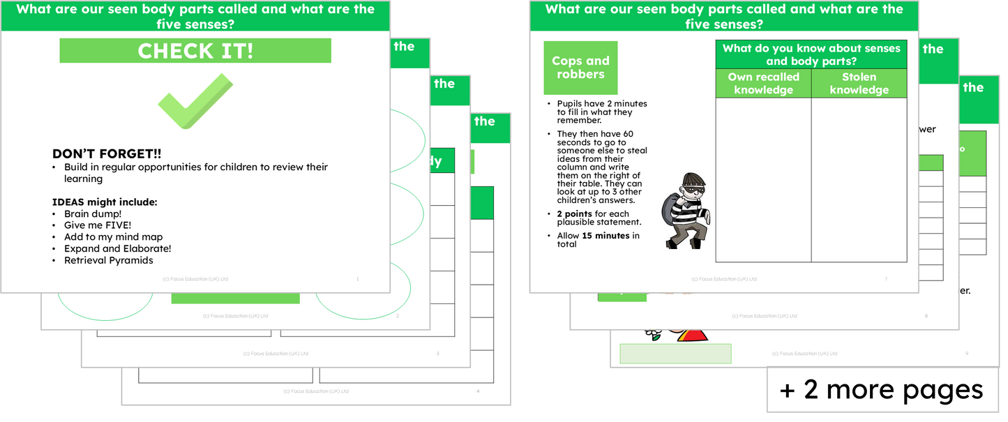 Science Y1: What are our seen body parts called and what are the five senses?
