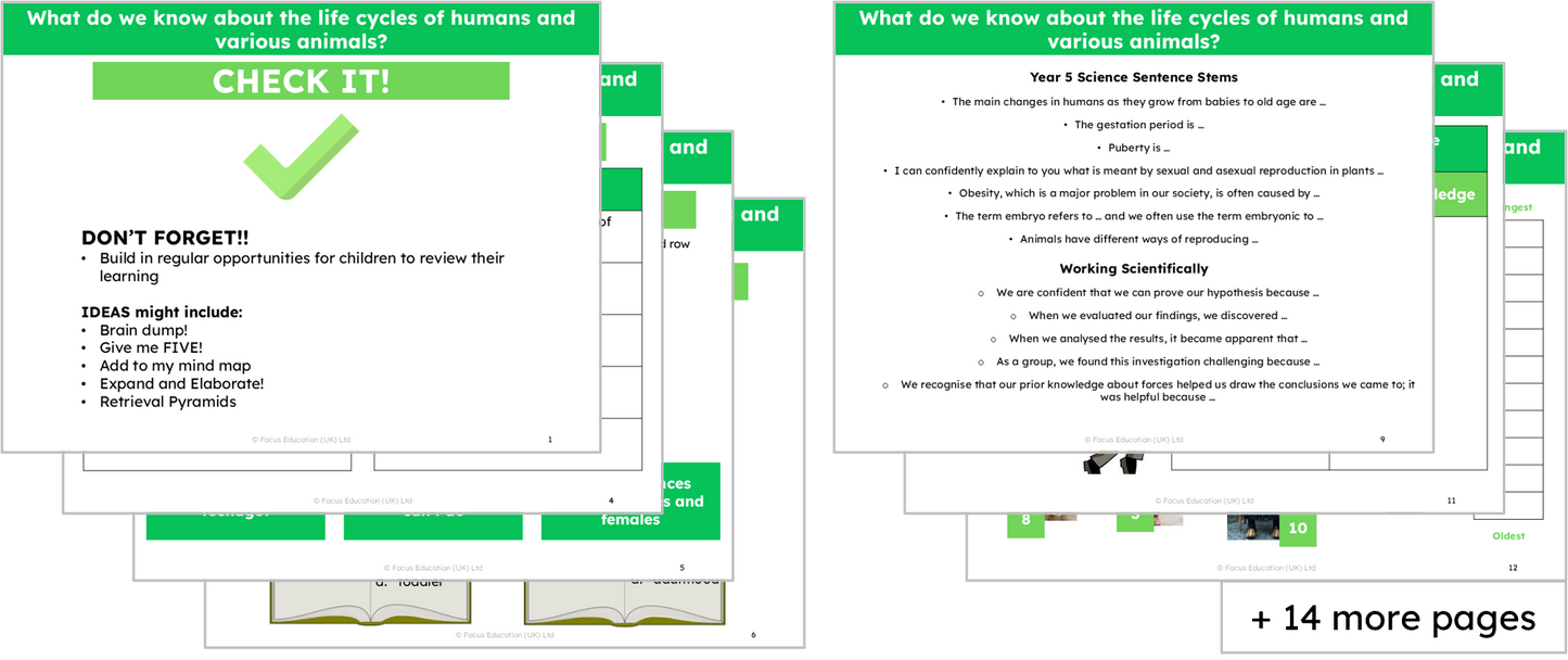 Science Y5: What do we know about the life cycles of humans and various animals?