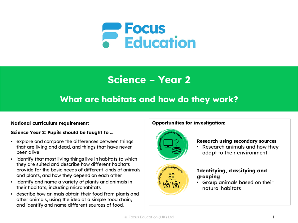 Science Y2: What are habitats and how do they work?