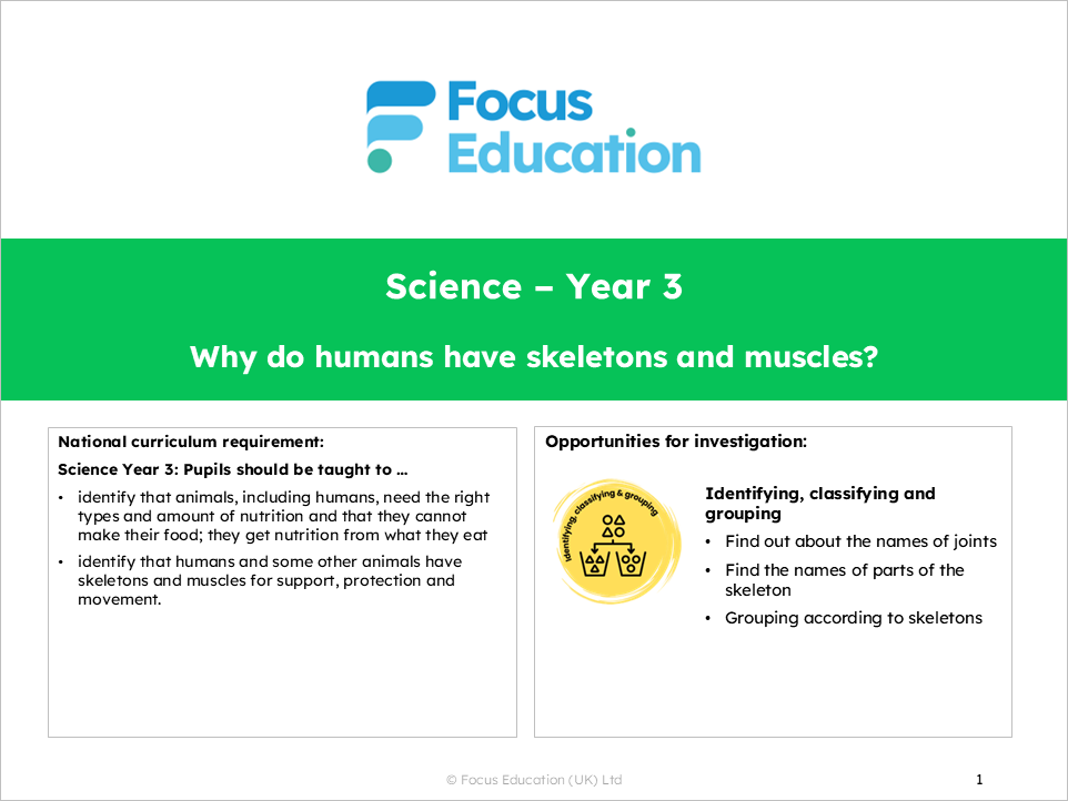 Science Y3: Why do humans have skeletons and muscles?