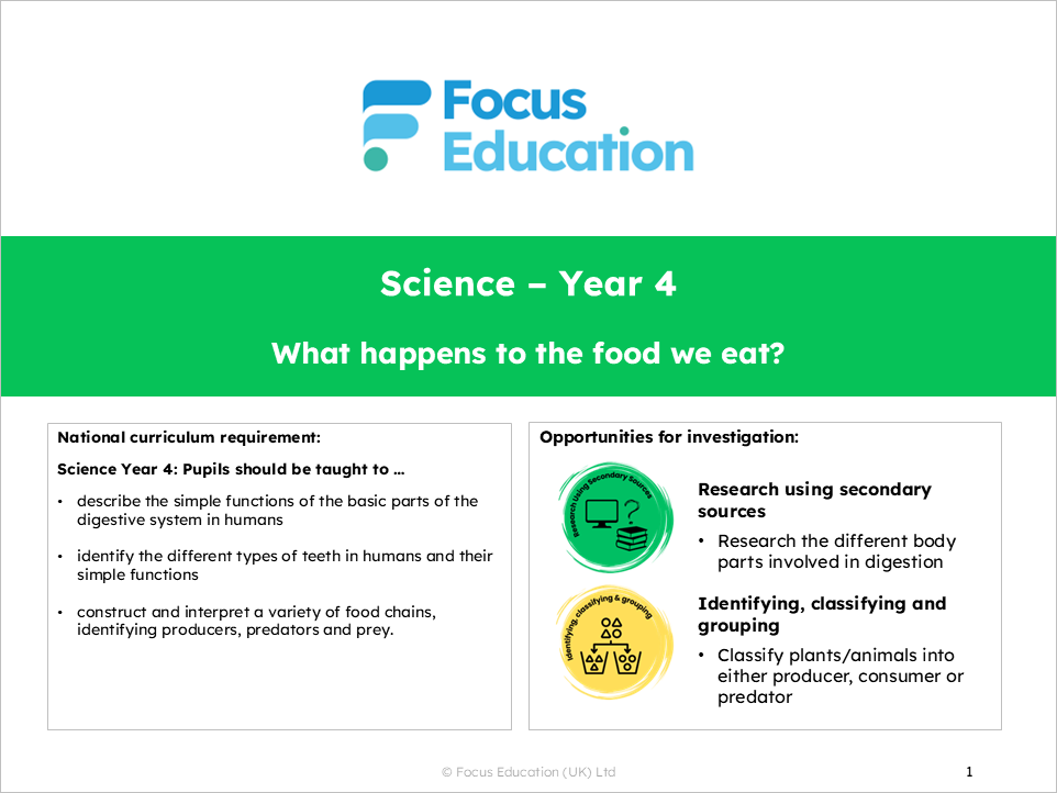 Science Y4: What happens to the food we eat?
