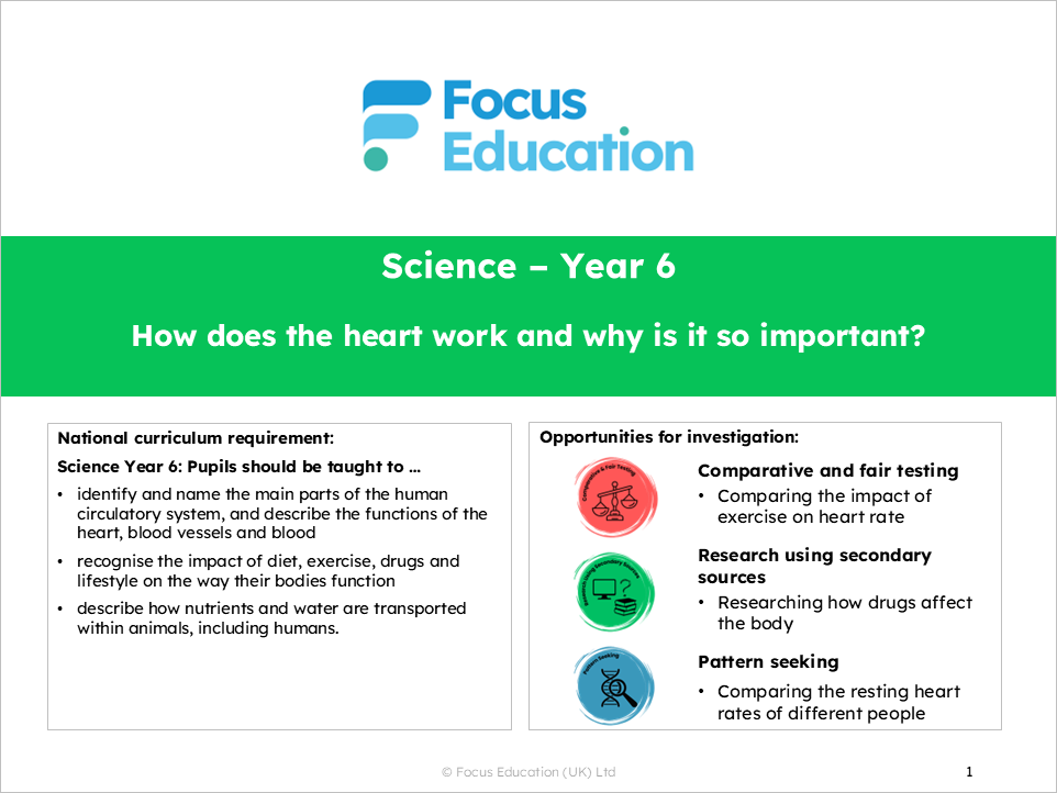 Science Y6: How does the heart work and why is it so important?