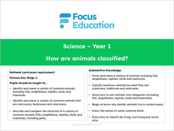 Science Y1: How are Animals Classified?