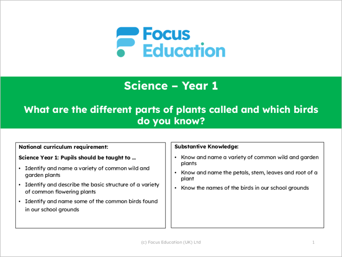 Science Y1: What are different parts of plants called and which birds do you know?