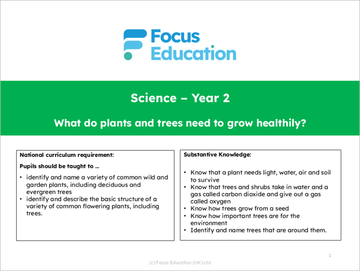 Science Y2: What do plants and trees need to grow healthily?
