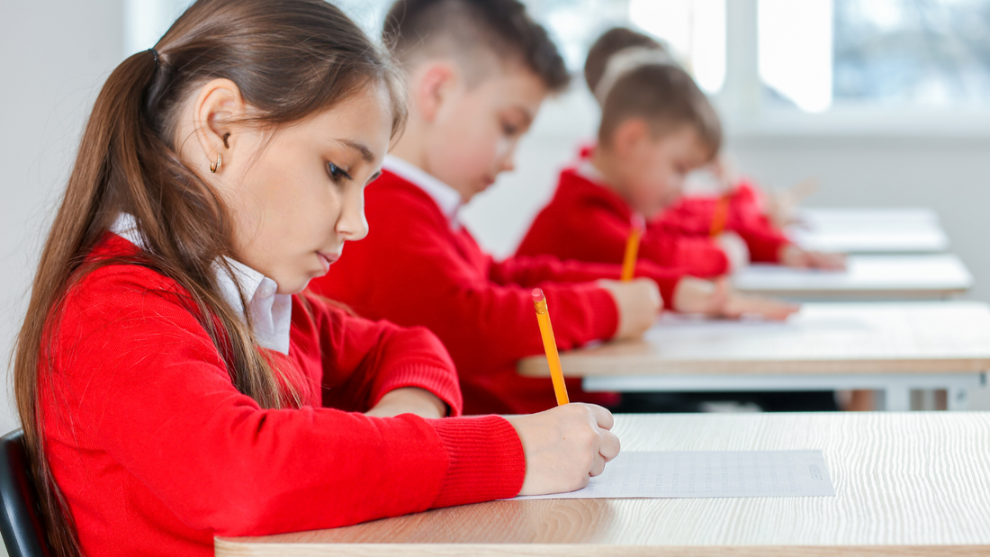 The Importance of Retrieval in Supporting Children's Long Term Memory