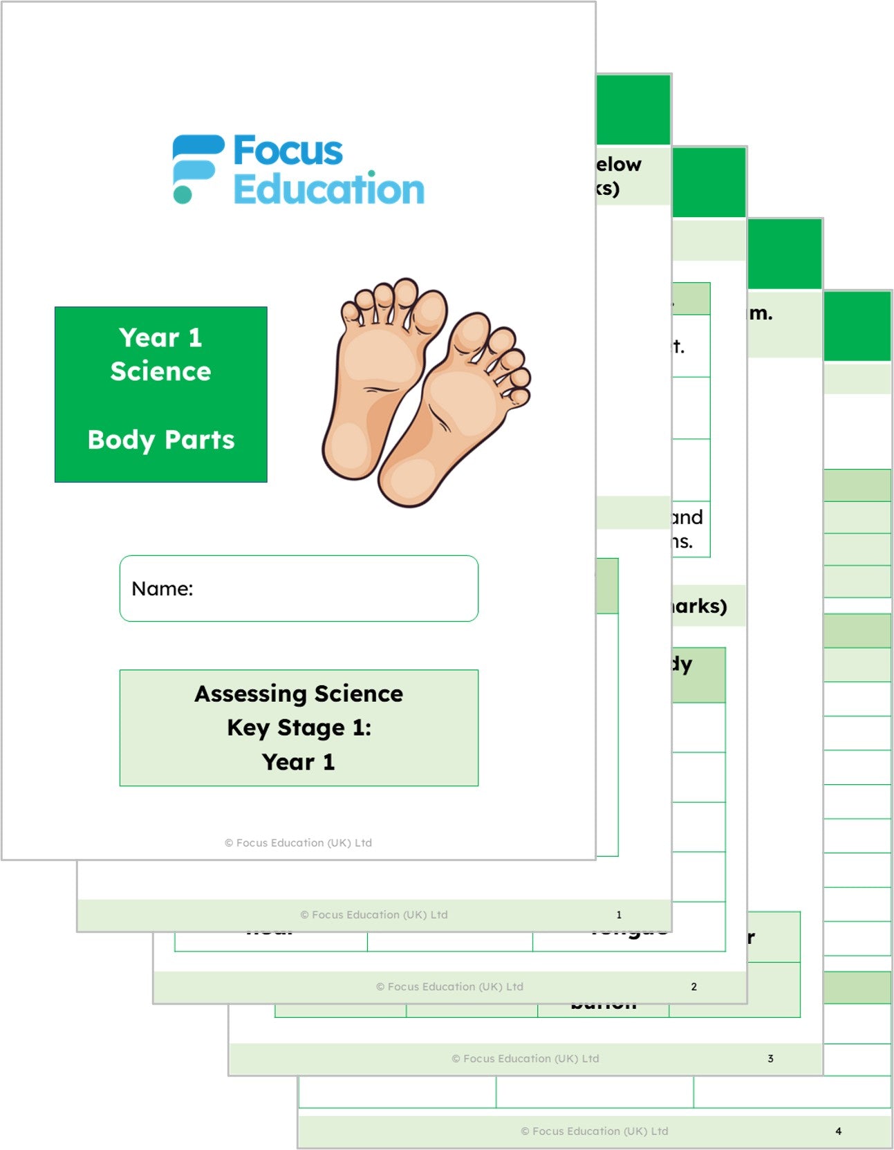Science Y1: What are our seen body parts called and what are the five senses?