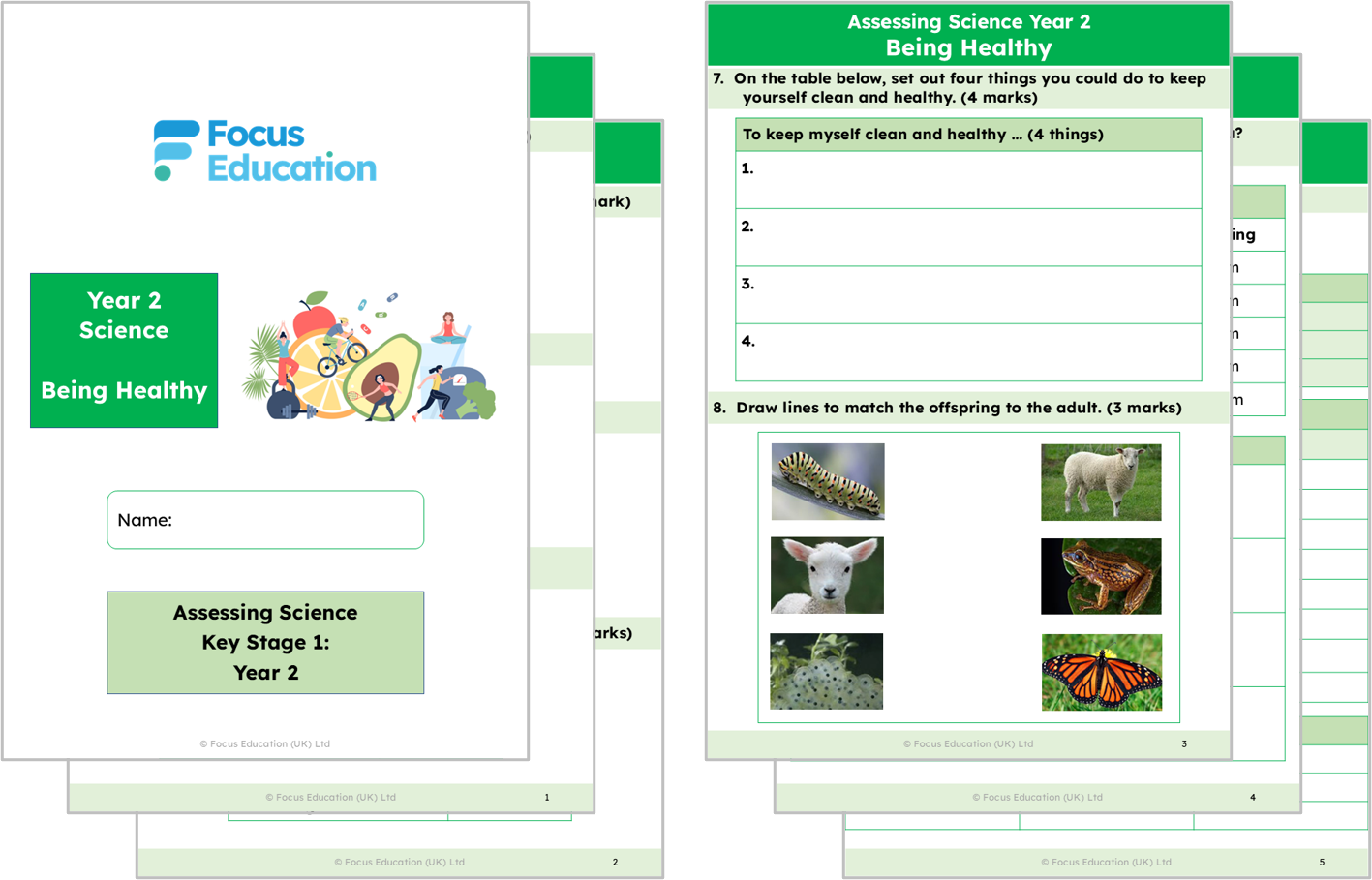 Science Y2: Why is it important to keep our bodies healthy?