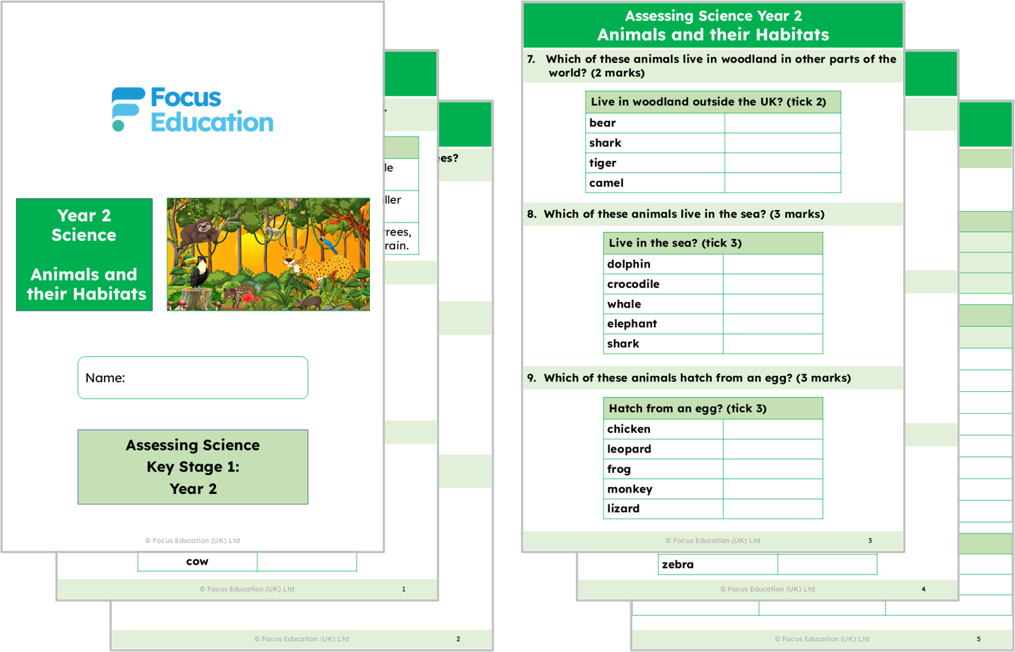 Science Y2: Why do animals choose the habitat they have?