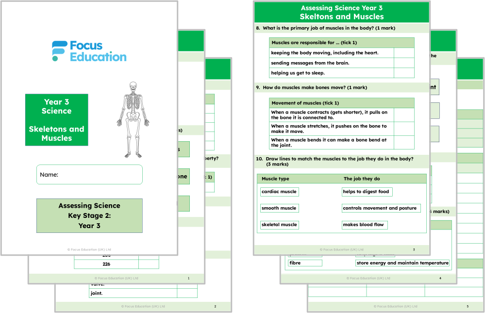 Science Y3: Why do humans have skeletons and muscles?