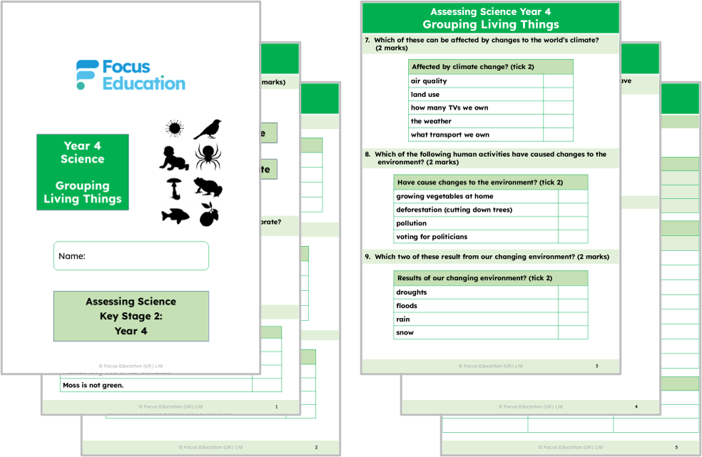 Science Y4: How are living things grouped?