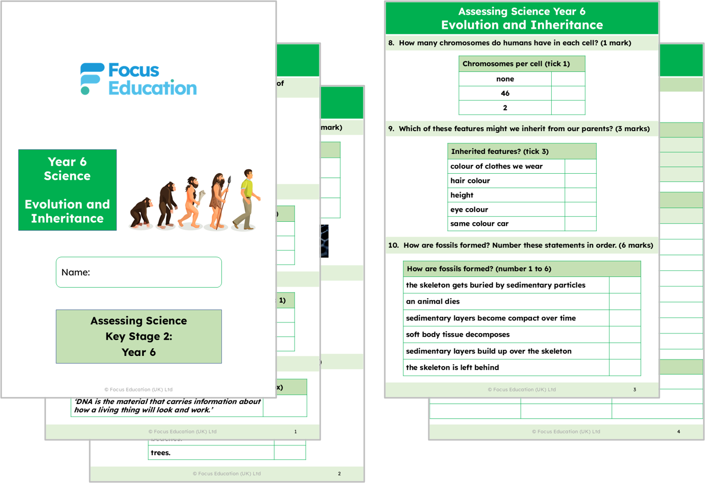 Science Y6: How have living things on Earth changed over time?