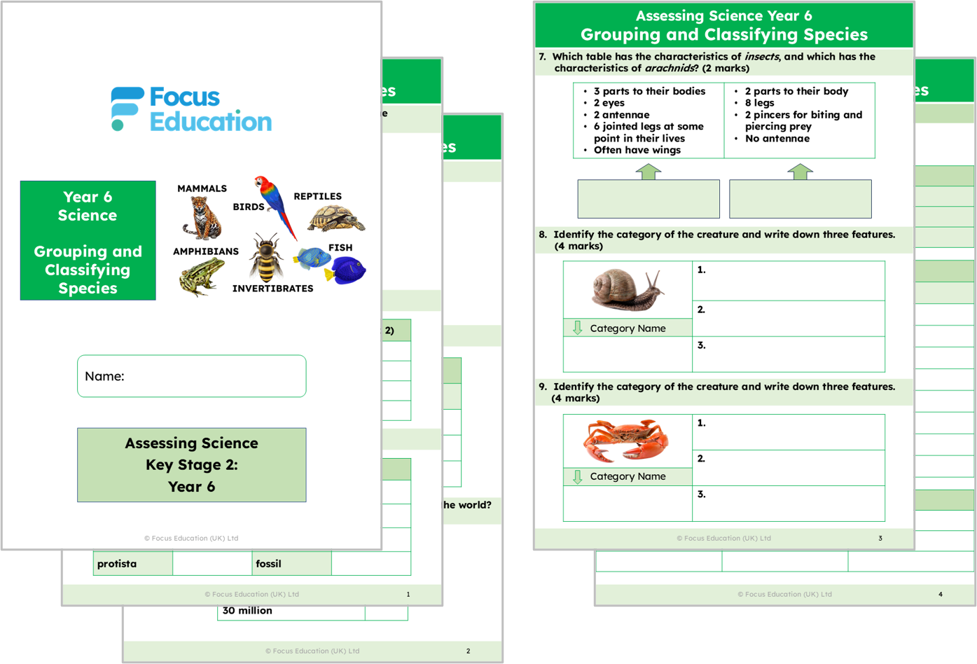 Science Y6: How are living things grouped and classified?