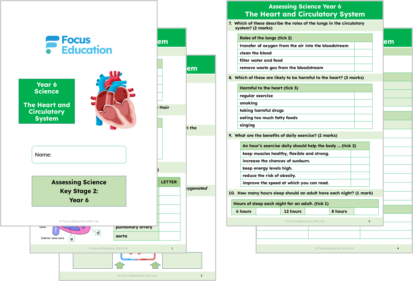 Science Y6: How does the heart work and why is it so important?