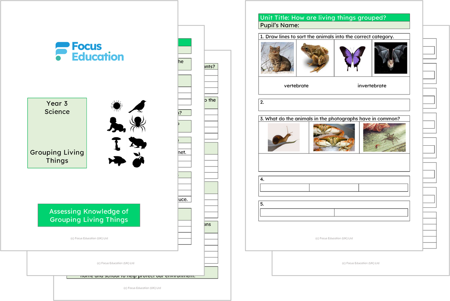 Science Y4: How are living things grouped?