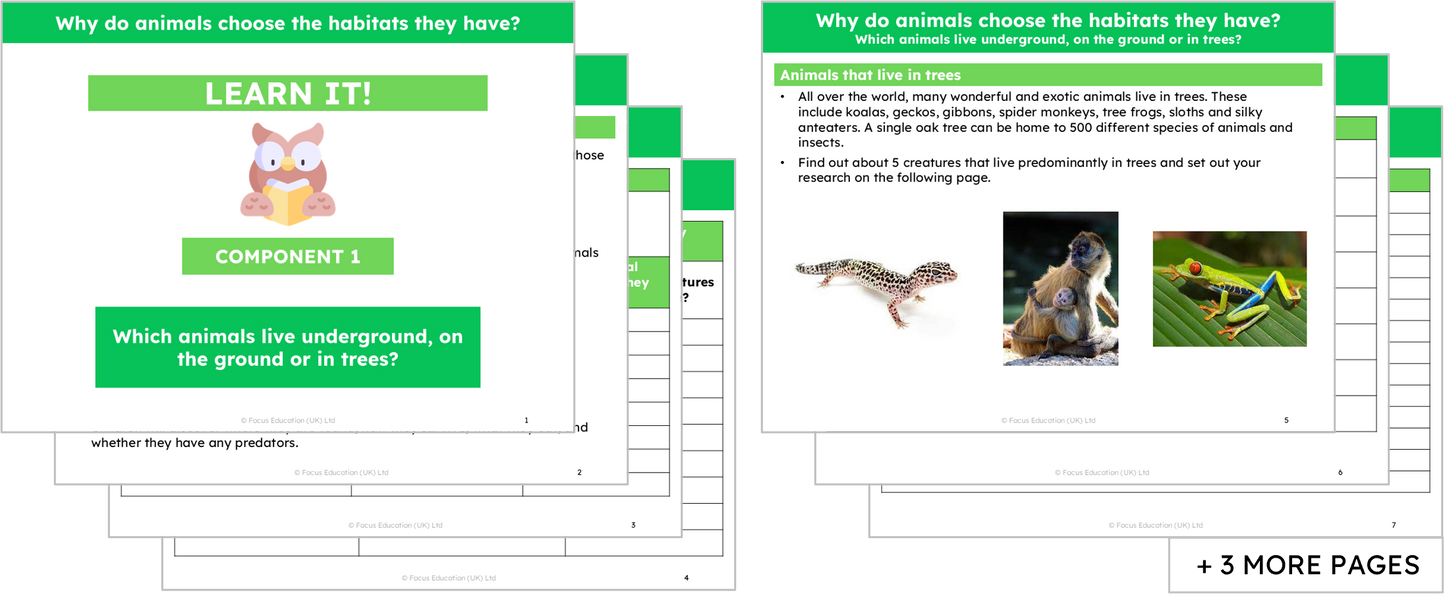 Science Y2: Why do animals choose the habitat they have?
