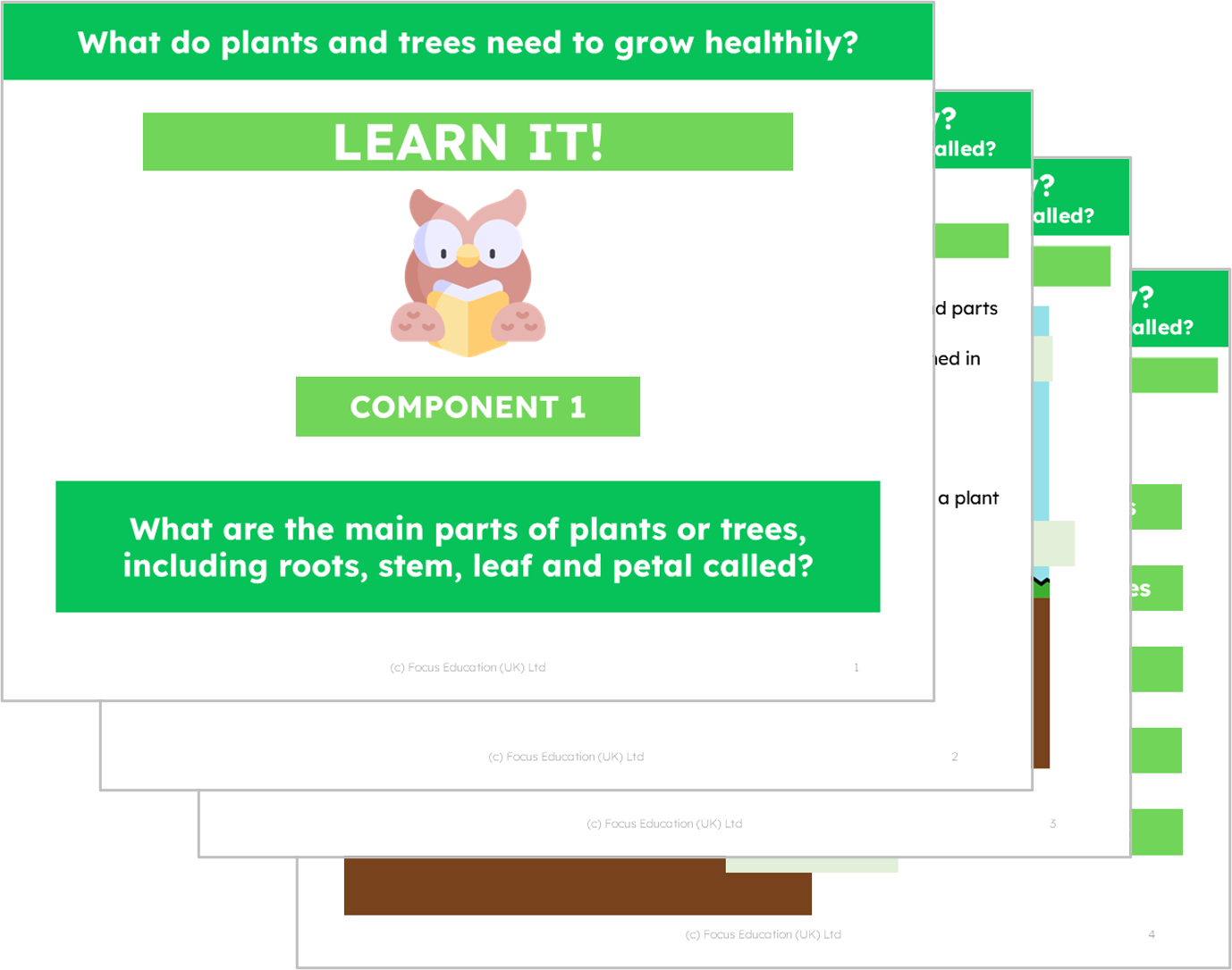 Science Y2: What do plants and trees need to grow healthily?