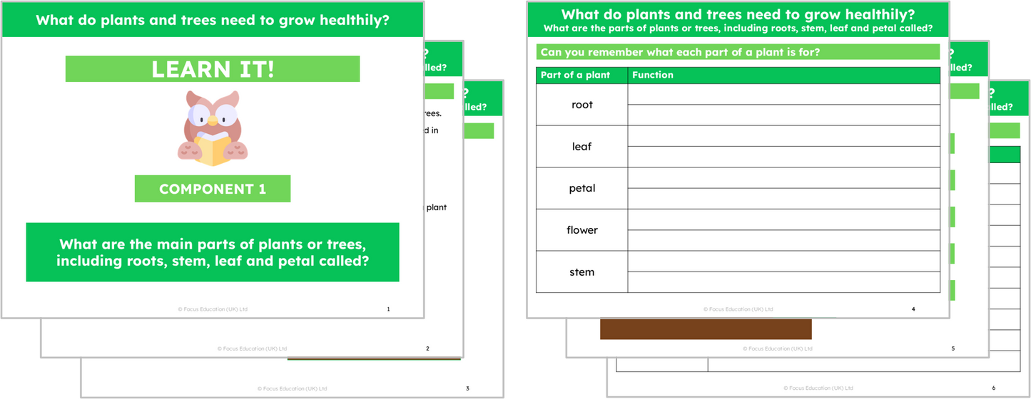 Science Y2: What do plants and trees need to grow healthily?