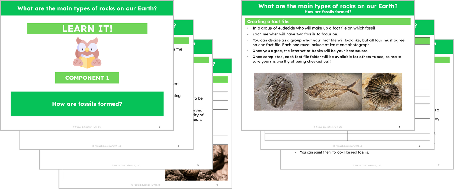 Science Y3: What are the main types of rock on our Earth?
