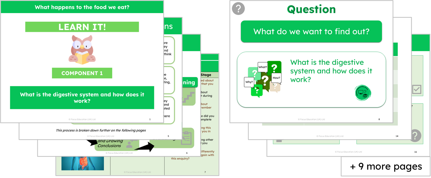 Science Y4: What happens to the food we eat?