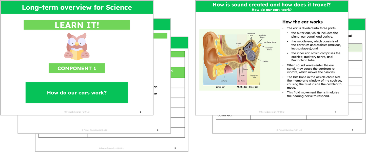 Science Y4: How is sound created and how does it travel?