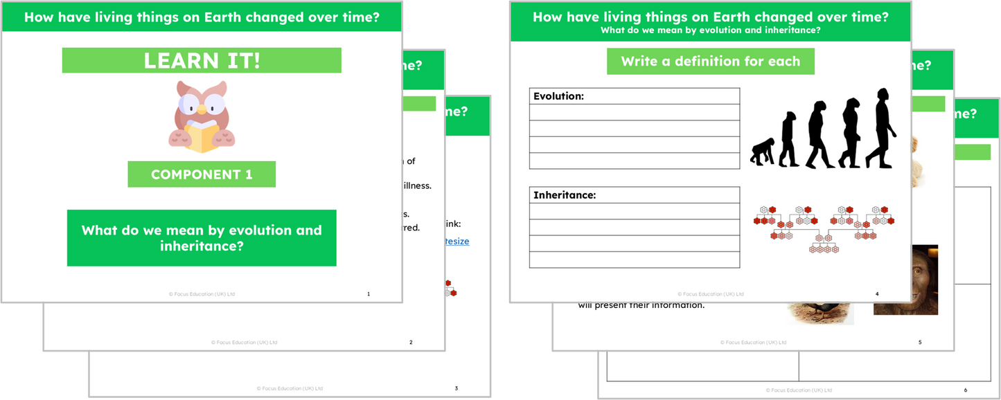 Science Y6: How have living things on Earth changed over time?