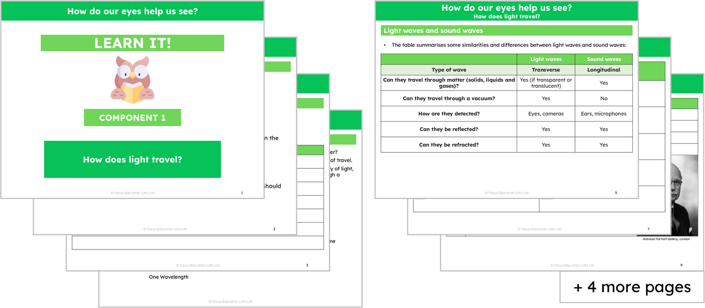 Science Y6: How do our eyes help us see?