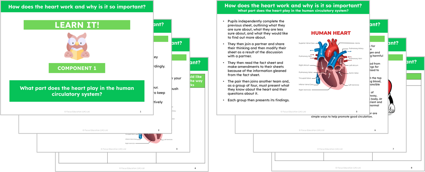 Science Y6: How does the heart work and why is it so important?