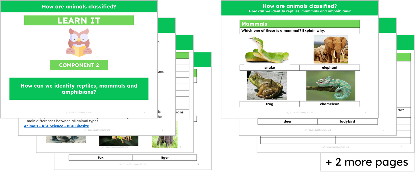 Science Y1: How are Animals Classified?