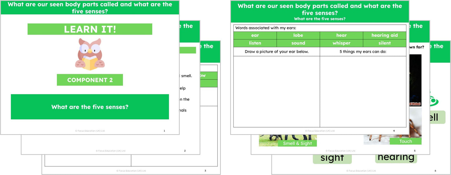Science Y1: What are our seen body parts called and what are the five senses?