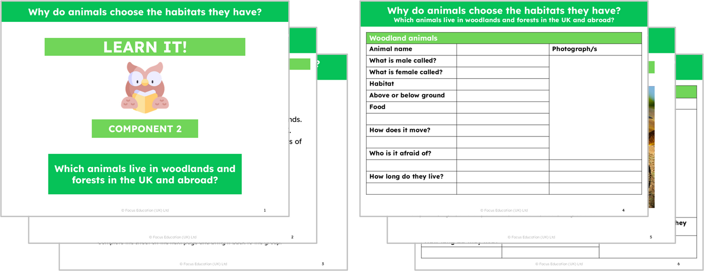 Science Y2: Why do animals choose the habitat they have?