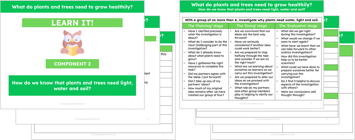 Science Y2: What do plants and trees need to grow healthily?