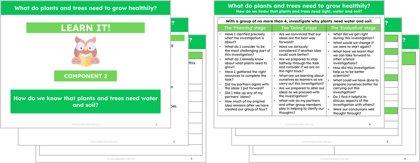 Science Y2: What do plants and trees need to grow healthily?