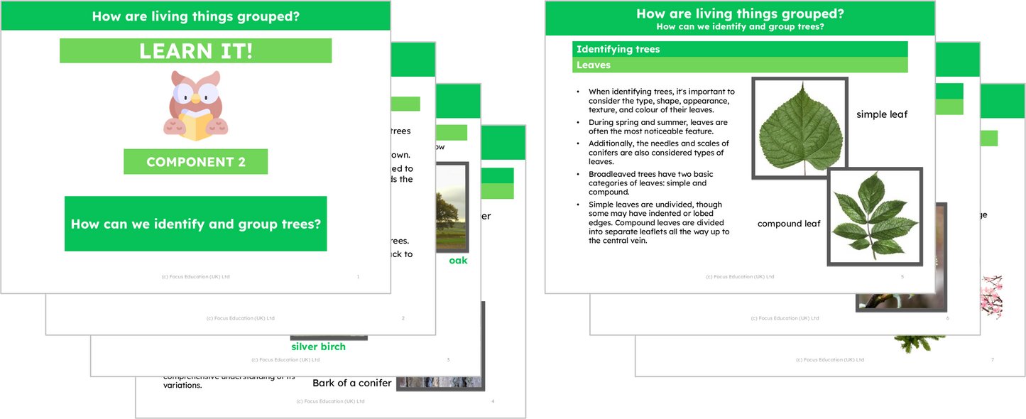Science Y4: How are living things grouped?