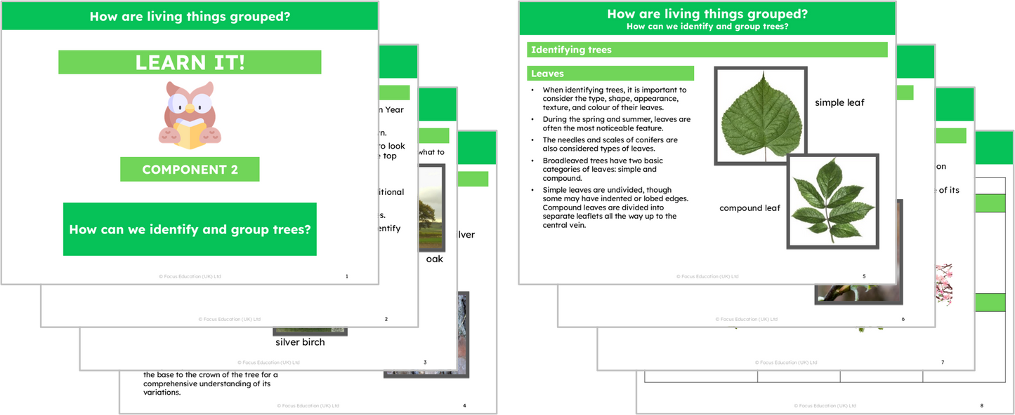Science Y4: How are living things grouped?