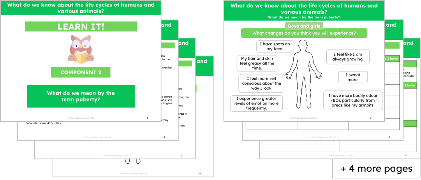 Science Y5: What do we know about the life cycles of humans and various animals?