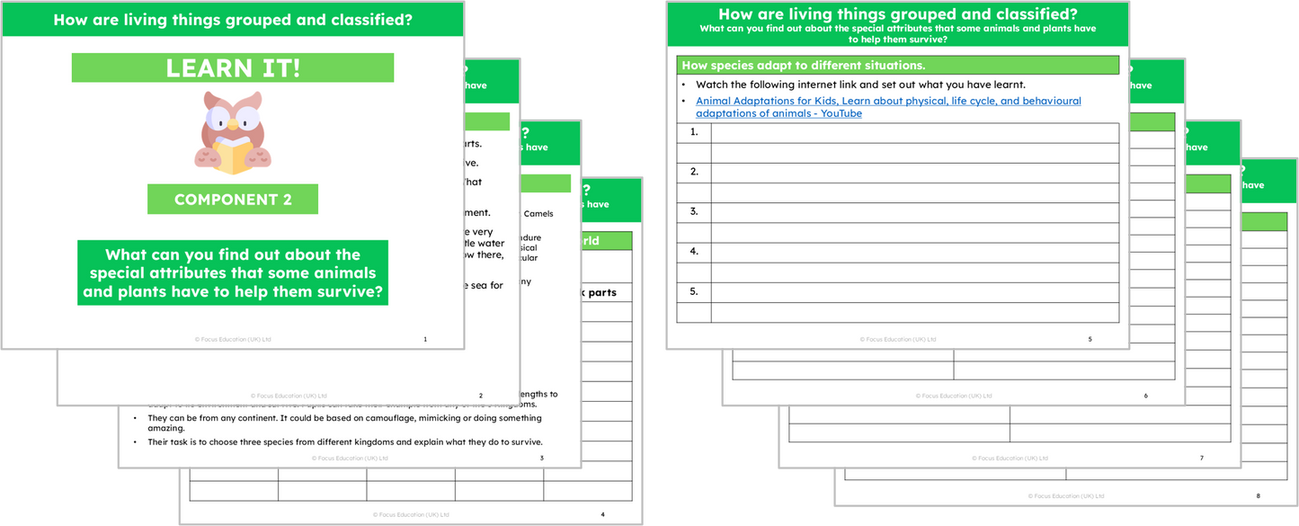 Science Y6: How are living things grouped and classified?