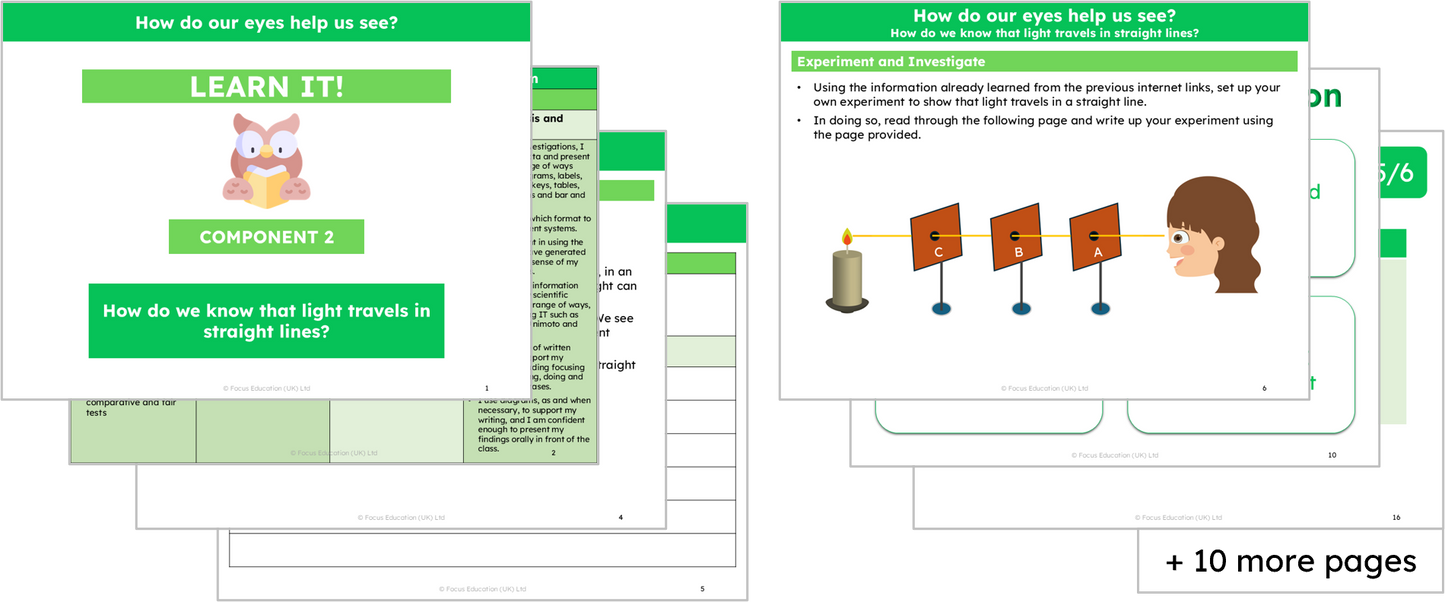Science Y6: How do our eyes help us see?