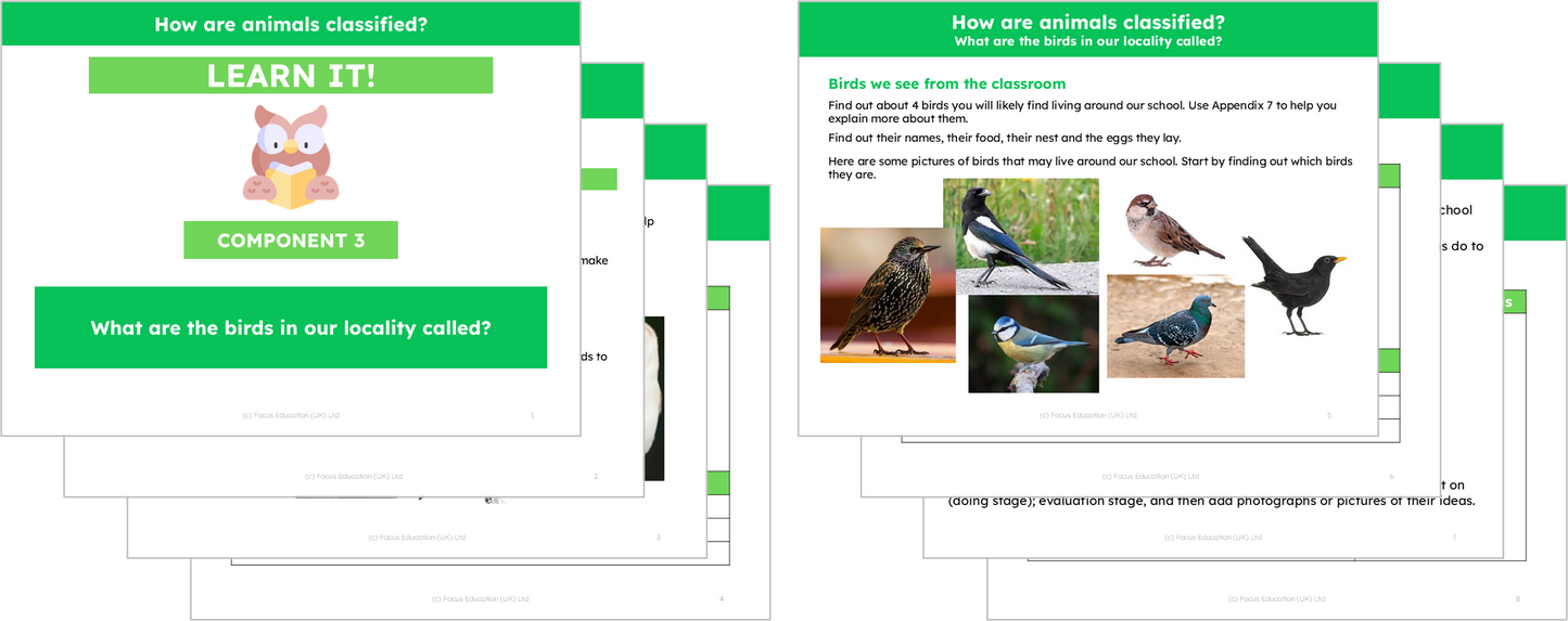 Science Y1: How are Animals Classified?